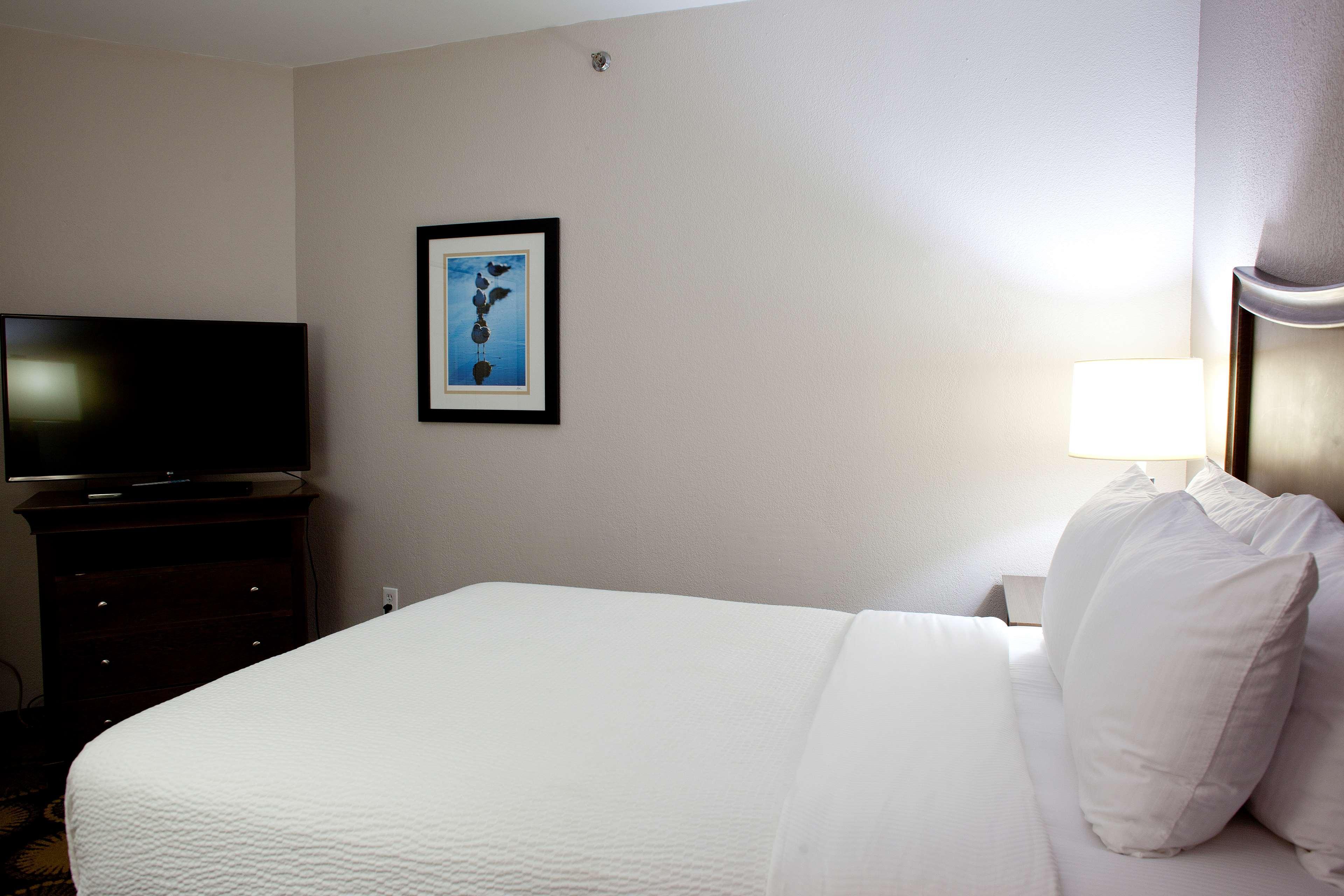 Best Western New Smyrna Beach Hotel & Suites Eksteriør bilde